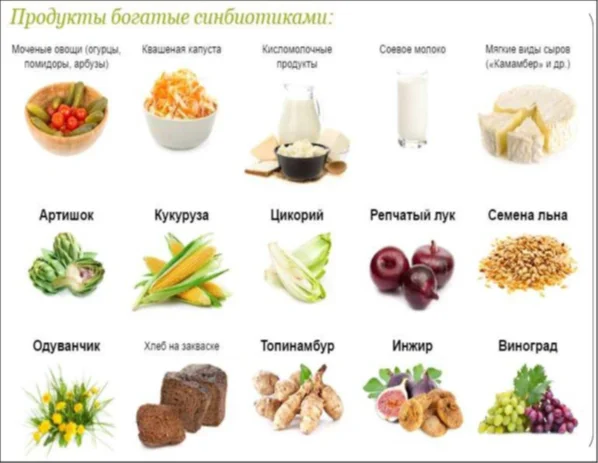Продукты богатые синбиотиками Микробиота кишечника